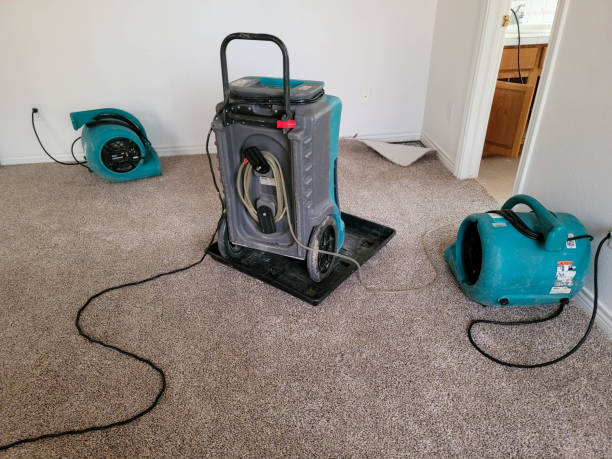 Best Professional water damage repair  in Harrisburg, OR
