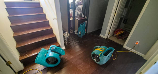 Best Water damage cleanup near me  in Harrisburg, OR