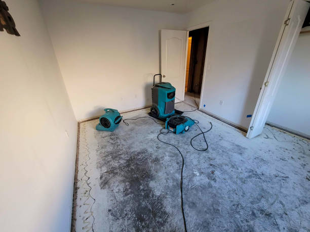 Best Flood restoration services  in Harrisburg, OR