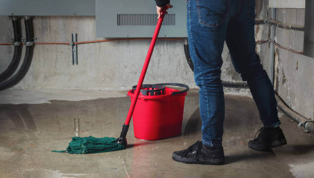 Best Flood damage cleanup  in Harrisburg, OR