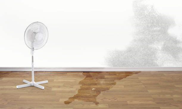 Best Water damage restoration near me  in Harrisburg, OR