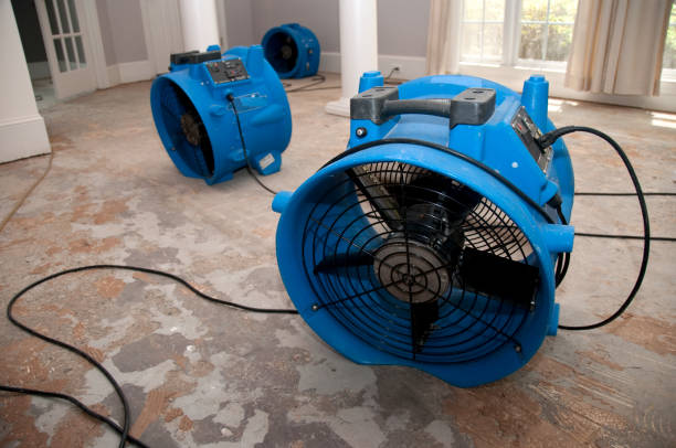 Local water damage restoration in Harrisburg, OR