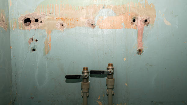 Best Water damage restoration services  in Harrisburg, OR