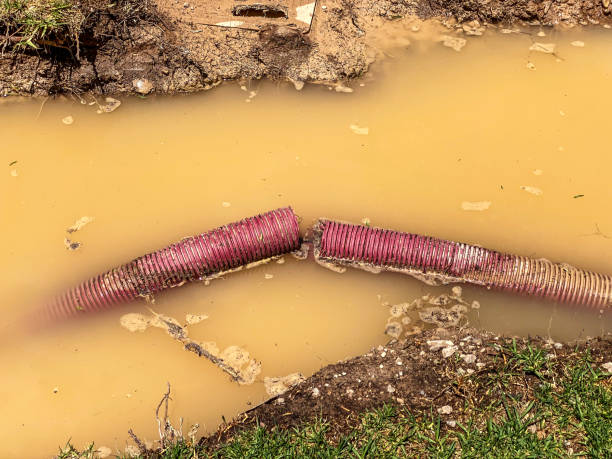 Best Water damage cleanup near me  in Harrisburg, OR