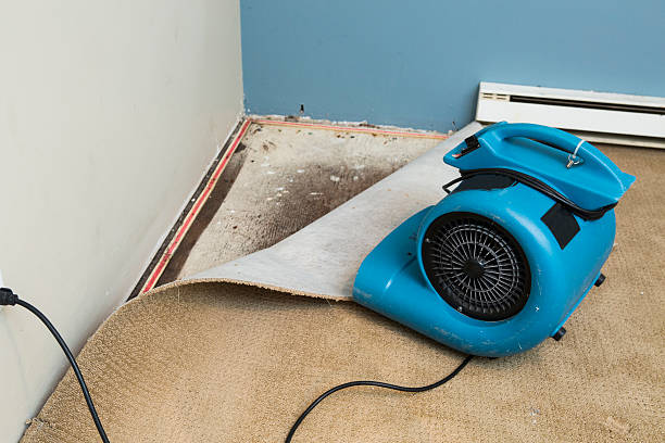 Best 24-hour water damage restoration  in Harrisburg, OR